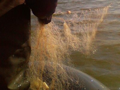 � ������������ � ��������� �������������� ������� ���������� ����