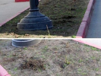 � ������ �������� �������� 25 ������ ���