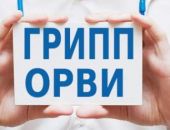 Грипп и ОРВИ в Феодосии на высоком уровне 