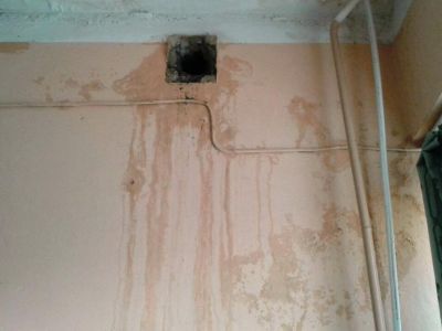 � �������� � ���������� ��. ������ ���������� �������� ������� ���� (����)