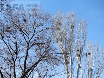 ������ ��������: ������, ����� ��������� ����������� 1 �����