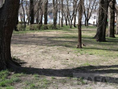 ������ ��������: ������, ����� ��������� ����������� 1 �����