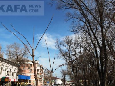������ ��������: ������, ����� ��������� ����������� 1 �����