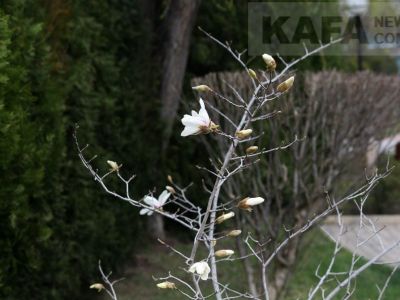 � �������� ������� ������ ��������