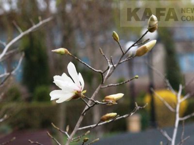 � �������� ������� ������ ��������