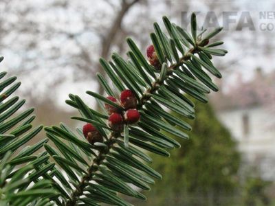� �������� ������� ������ ��������