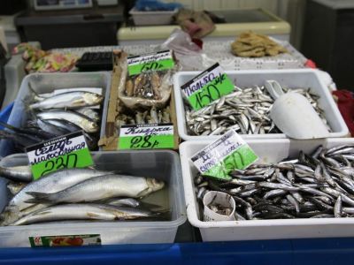 � ����� ���������� ����, ��������� � ������� �������