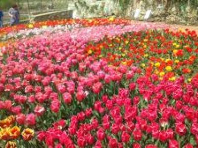 � ����� ��������� ������������ ����� ��������� � ������� ��� ��������