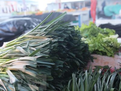 ���� �� ����� ��������: ���������� ��������� � ����, ��������� ����� �� ������� �������� ������� � ��������