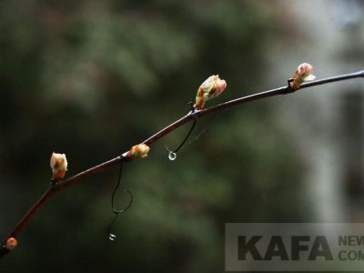 � �������� ������������ �����