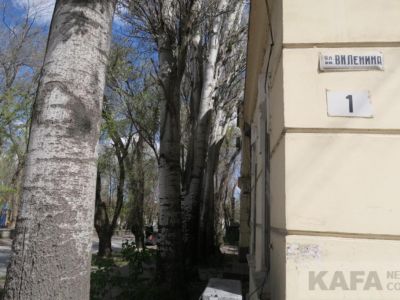 � �������� �������� 150-����� �� ��� �������� ������ 