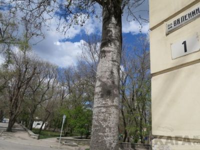 � �������� �������� 150-����� �� ��� �������� ������ 