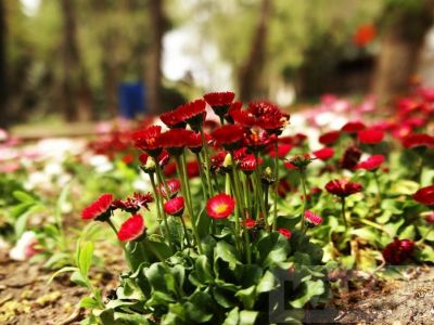 � �������� ������� ���������� �������� ����� � �����