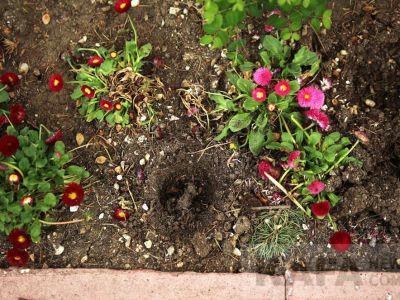 � �������� ������� ���������� �������� ����� � �����