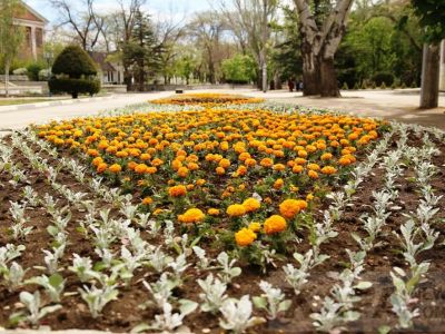 � �������� ������� ���������� �������� ����� � �����