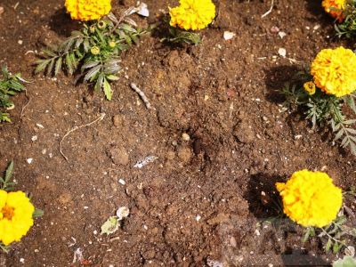 � �������� ������� ���������� �������� ����� � �����