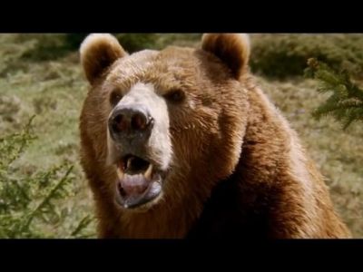 � ����� ��������� ������ ����� ������� � ������ ������� �� ����
