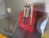 В Севастополе за сутки – пять новых случаев заболевания COVID-19
