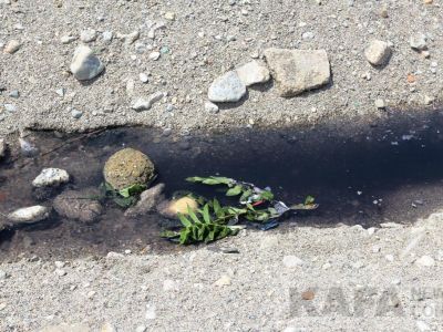 � ���� � ����������� ���������� �������� ����� ������� ������