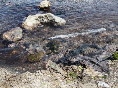� ���� � ����������� ���������� �������� ����� ������� ������