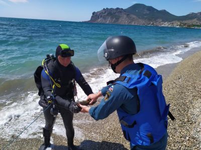� ���� ���� ��������� ����� ��������� ����� ���