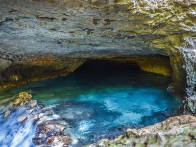 � ����� ���������� ������������ ���������� �� ����� � ���� ���������