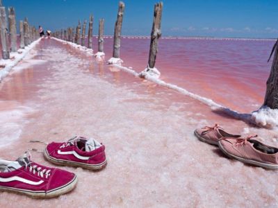 � ����� �� ���� ������� ������� ����� � ���������� � ������� ����