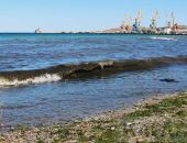 ���� � ������ �������� ������-����������� �����