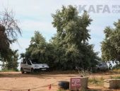 � �������� �� ����� �������� �������� �������������� �� ���������� ������� �����