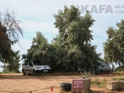 � �������� �� ����� �������� �������� �������������� �� ���������� ������� �����