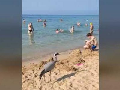� ��������� �� ����� �������� ������������� �������
