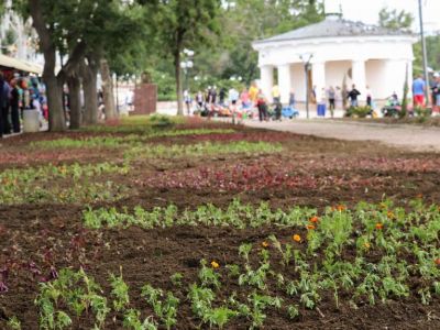 � �������� ������������ ������ �� ������� � ������ ��������