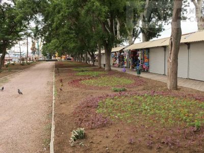 � �������� ������������ ������ �� ������� � ������ ��������