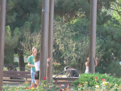 � ������ �� ���������� �������� ����� �� ������ ����-�����
