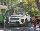 � �������� ���������� � ������� ���������� ������� ����������� �������������� ����������