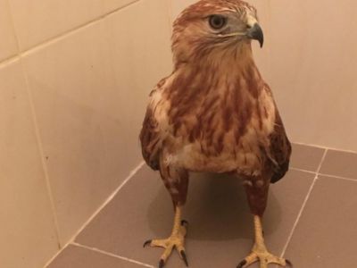 � ����� � ��������� ������ ������������� �����, � ��� ���� ������� ����