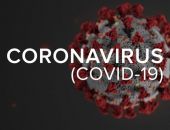 В Севастополе за сутки COVID-19 выявили у 12 человек