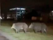 �����: � ������ ������ ����� ������