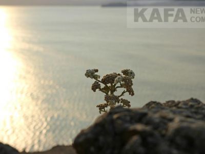 ����� �� �������� ����� � ������������ ������ ������������