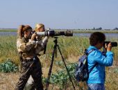 ����������� ���������� ������� ������� � ����������� ����� ���� EUROBIRDWATCH 2020