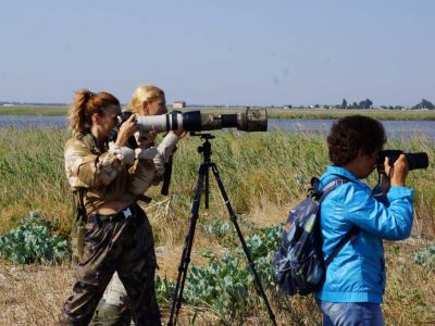 ����������� ���������� ������� ������� � ����������� ����� ���� EUROBIRDWATCH 2020