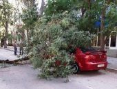 � ������ ������� ������ ����� �� ����������