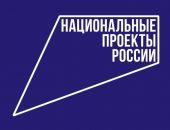 Крым освоил половину выделенных на региональные проекты средств