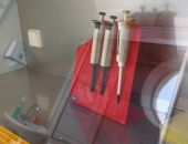Антирекорд: в Севастополе за сутки COVID-19 выявили у 74 человек
