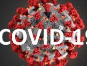 В Крыму за сутки COVID-19 выявили у 227 человек