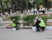 � �������� ������������ ��������������� ������ �� ����������