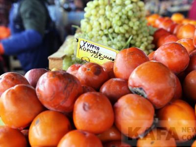 ���� �� ����� ��������: ��������...