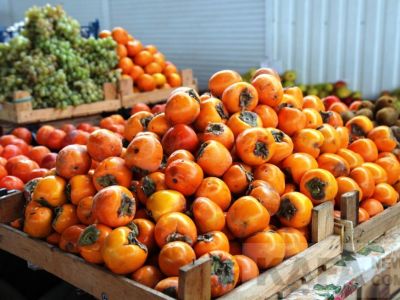 ���� �� ����� ��������: ��������...
