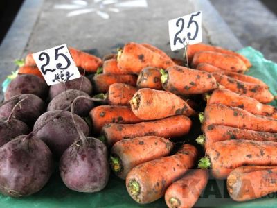 ���� �� ����� ��������: ��������...