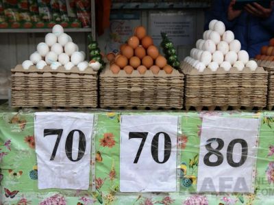 ���� �� ����� ��������: ��������...